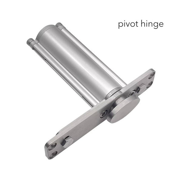 Pivot Hinge with Hold Open (300kg)