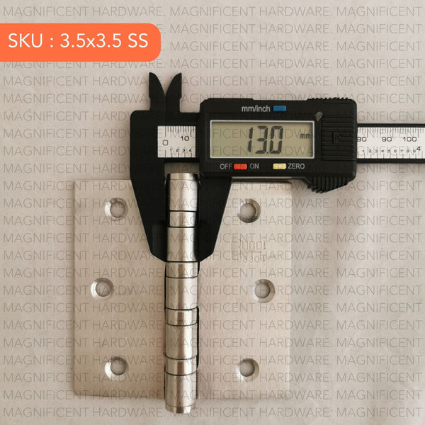 Bucci Stainless Steel 304 Hinges