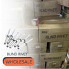 WHOLESALE Blind Rivet (1 carton)