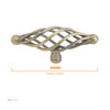 1003 Birdcage Antique Brass Pull