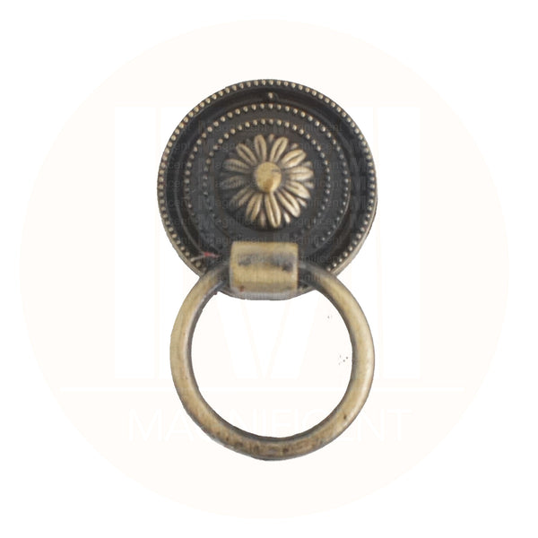 3582  Classic Antique Brass Pull