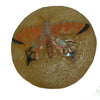 2065 Butterfly Polyester Knob