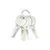 Double Cylinder Lock (Computer Key)