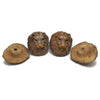 2148B Lion Polyester Knob