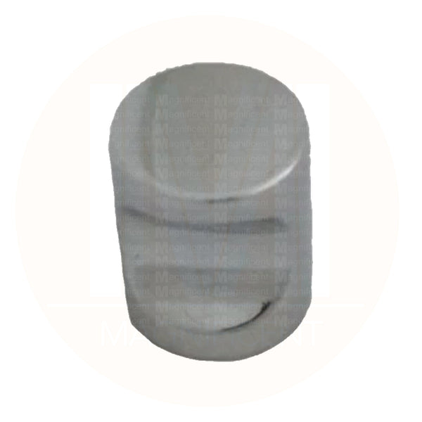 N17 Plain Stainless Knob