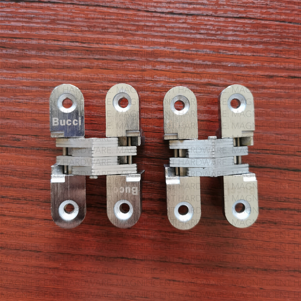 Bucci Stainless 304 Invisible Hinge