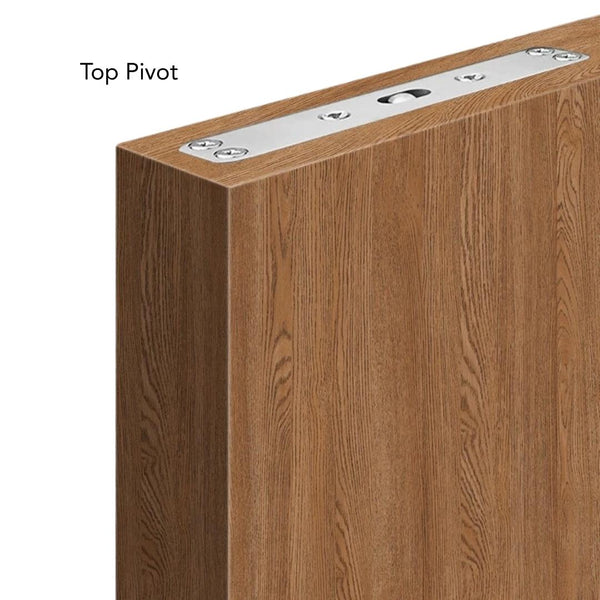360º Free Swinging Pivot Hinge (500kg)