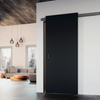 Terno Diva Fluid Italian Sliding Barn Door