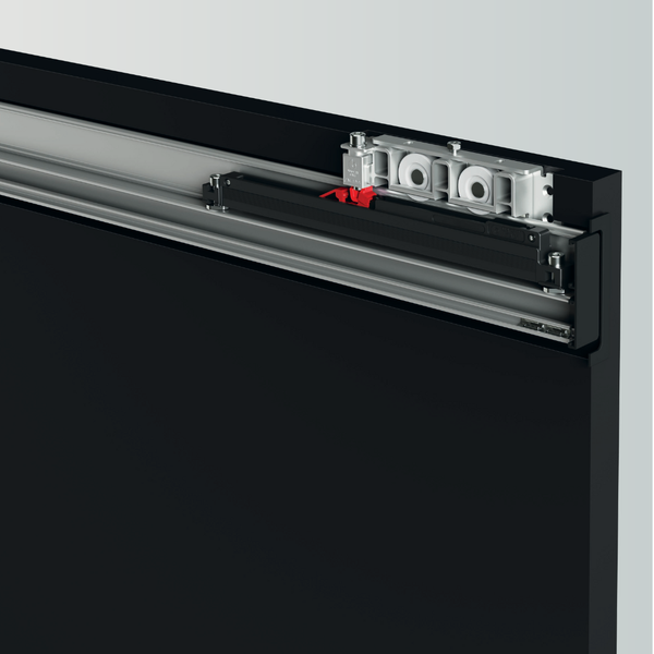 Terno Diva Fluid Italian Sliding Barn Door