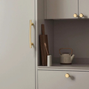 PB108 Polished Brass Handle (PREORDER)