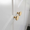 PB108 Polished Brass Handle (PREORDER)