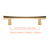 PB507 Polished Brass Handle (PREORDER)