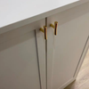 PB507 Polished Brass Handle (PREORDER)