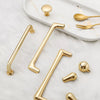 PB603 Polished Brass Handle (PREORDER)