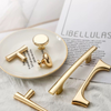 PB605 Polished Brass Handle (PREORDER)