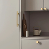 PB605 Polished Brass Handle (PREORDER)