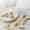 PB605 Polished Brass Handle (PREORDER)