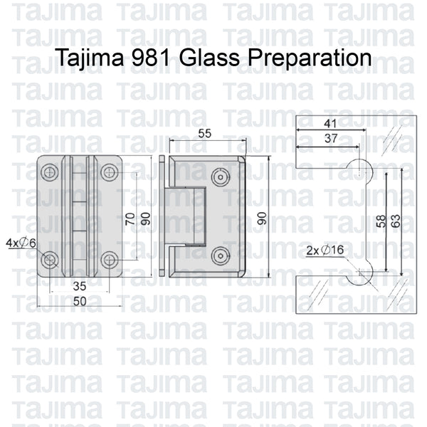 Tajima Wall to Glass Stainless 304 Shower Hinge